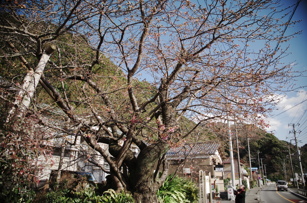 長楼の貫録