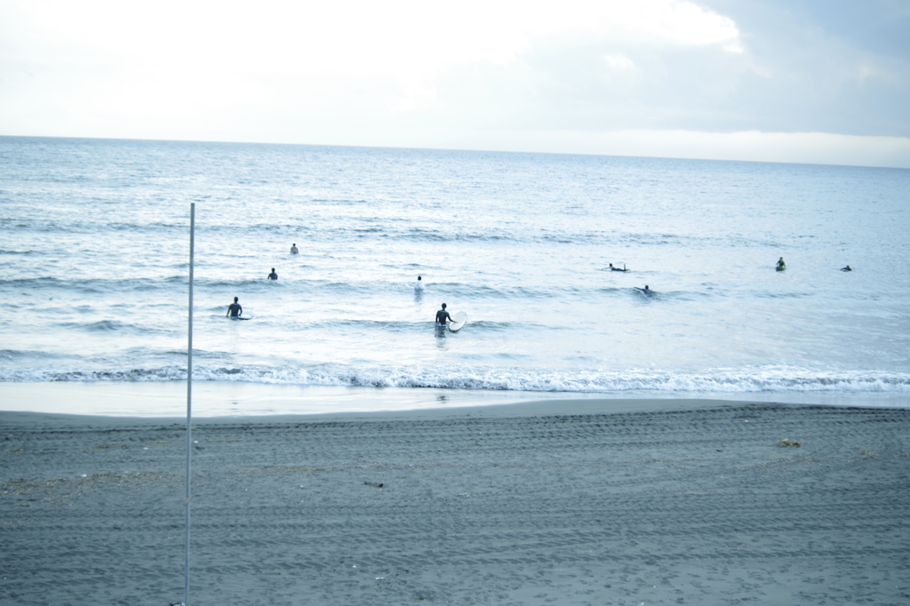 Surf