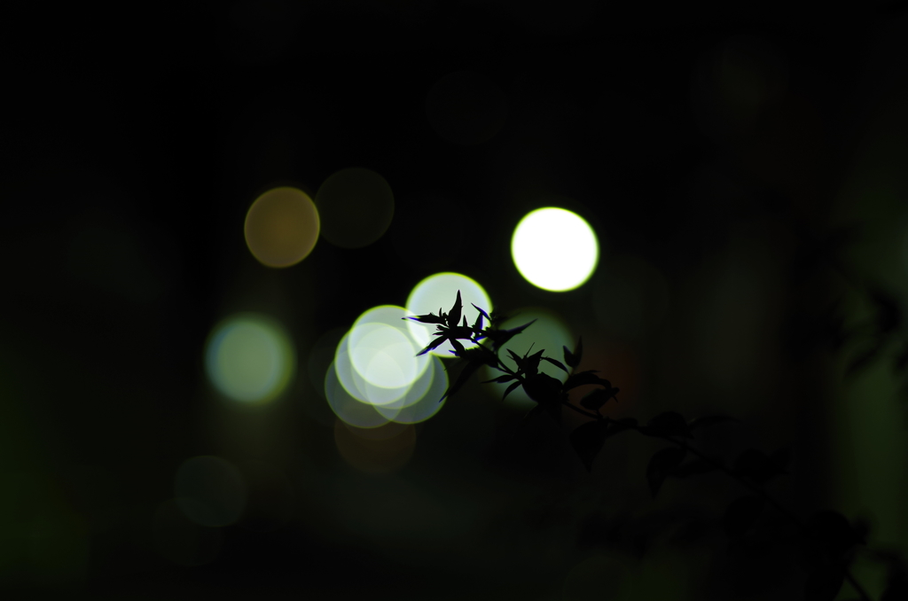 FA50mmお試し夜撮