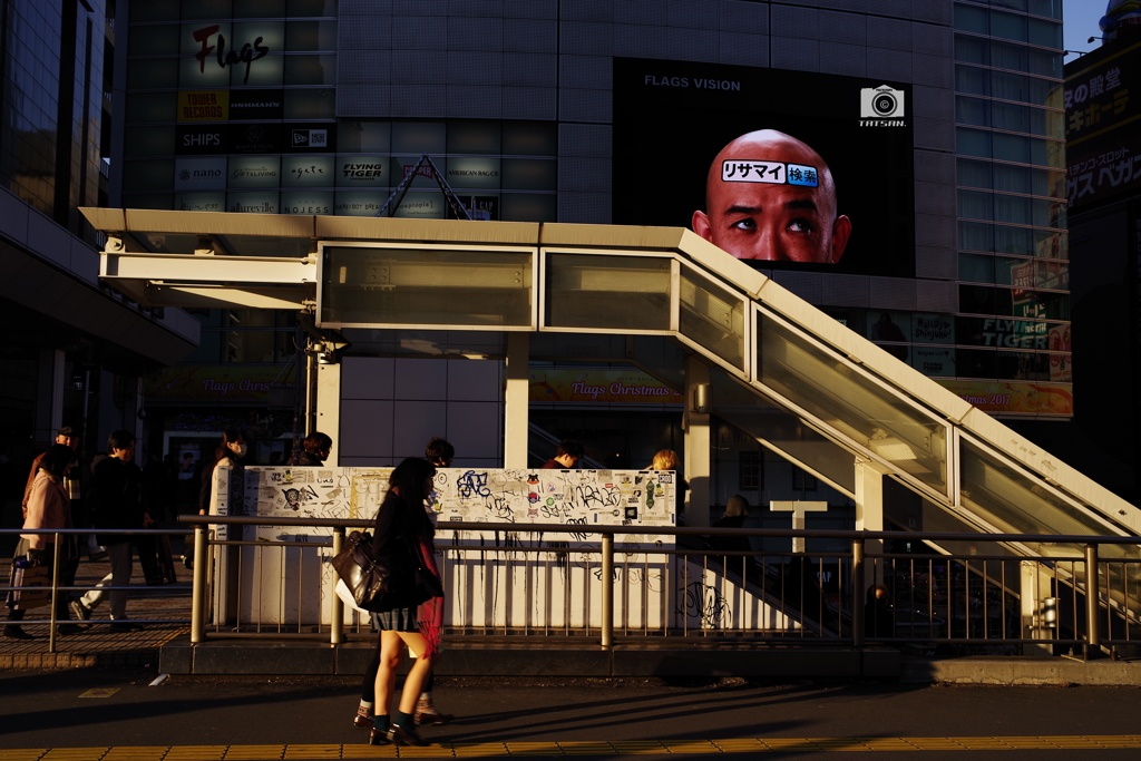 眩しい夕景