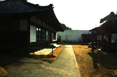 河津より