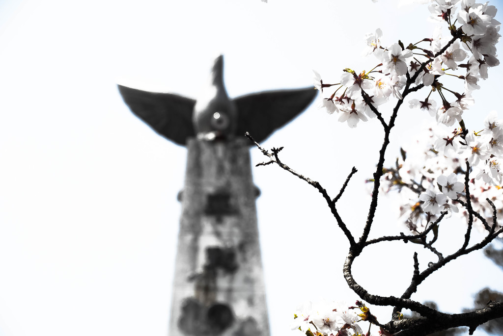 Peace flower