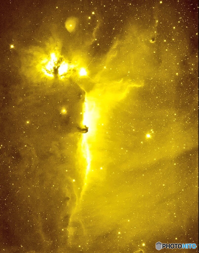 馬頭星雲付近　Ha