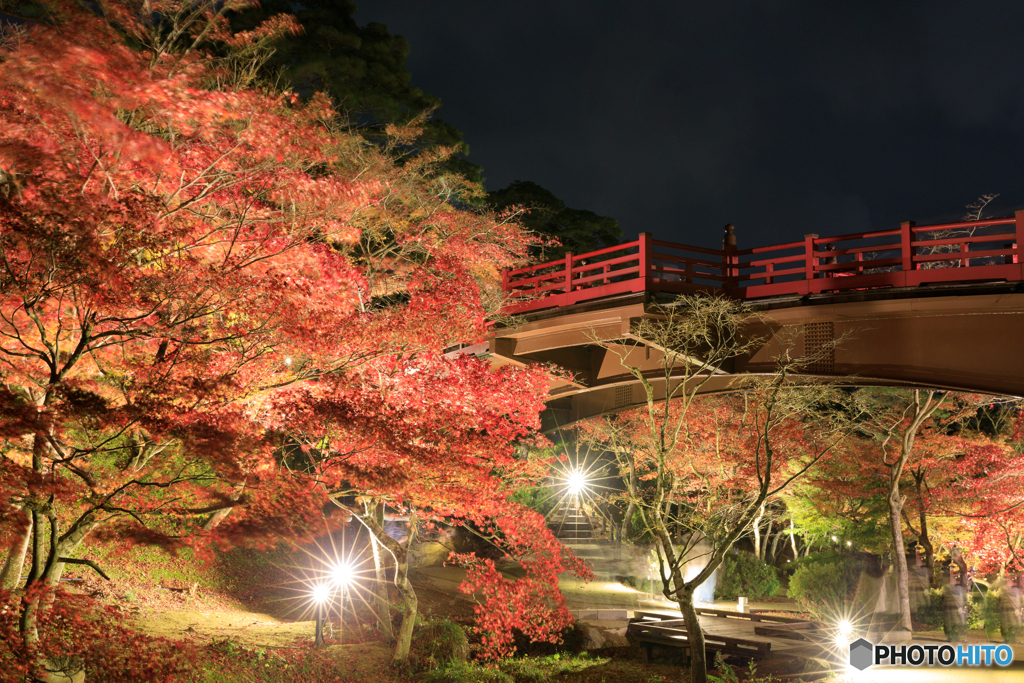 紅葉夜景