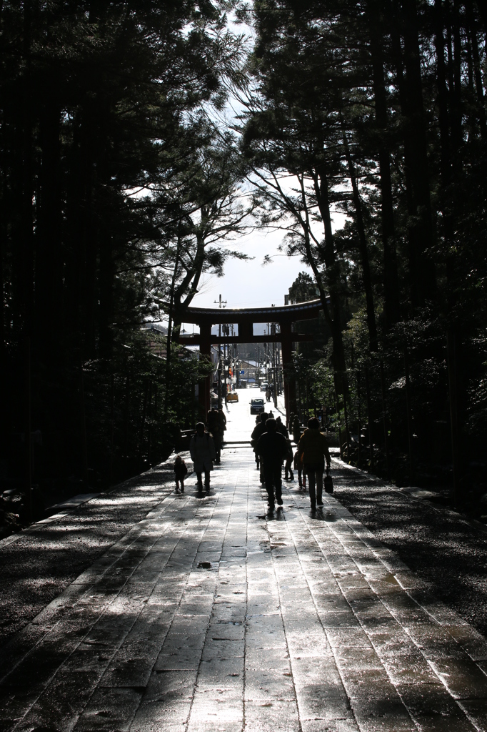 弥彦神社　参道から