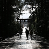 弥彦神社　参道から