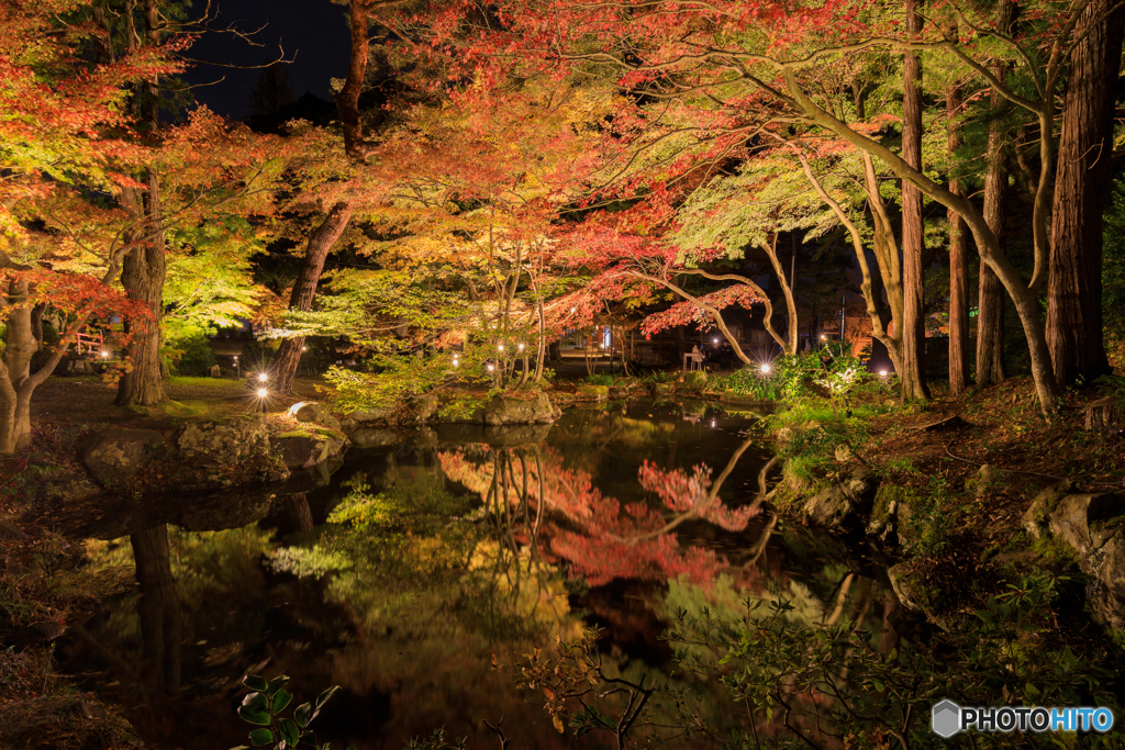 逆さ紅葉