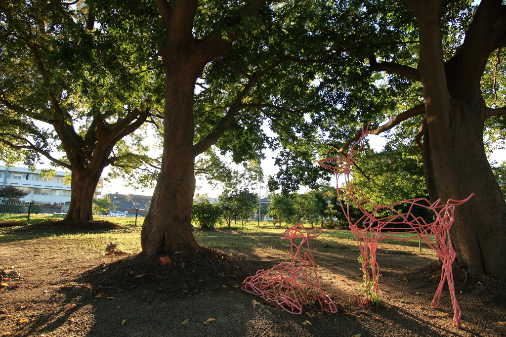plant objects project2015