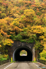 黄葉