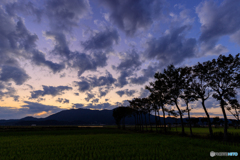 弥彦山夕景