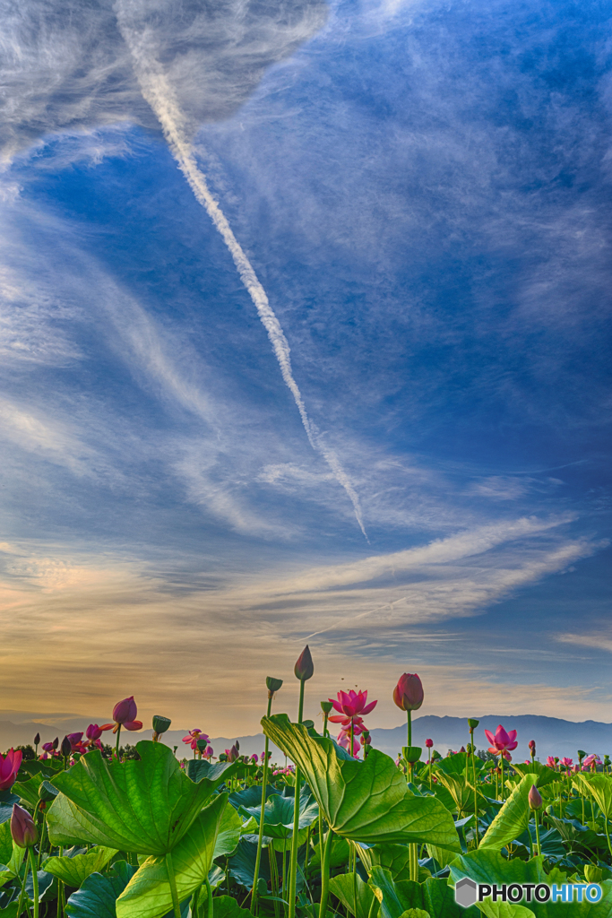 空
