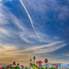 空
