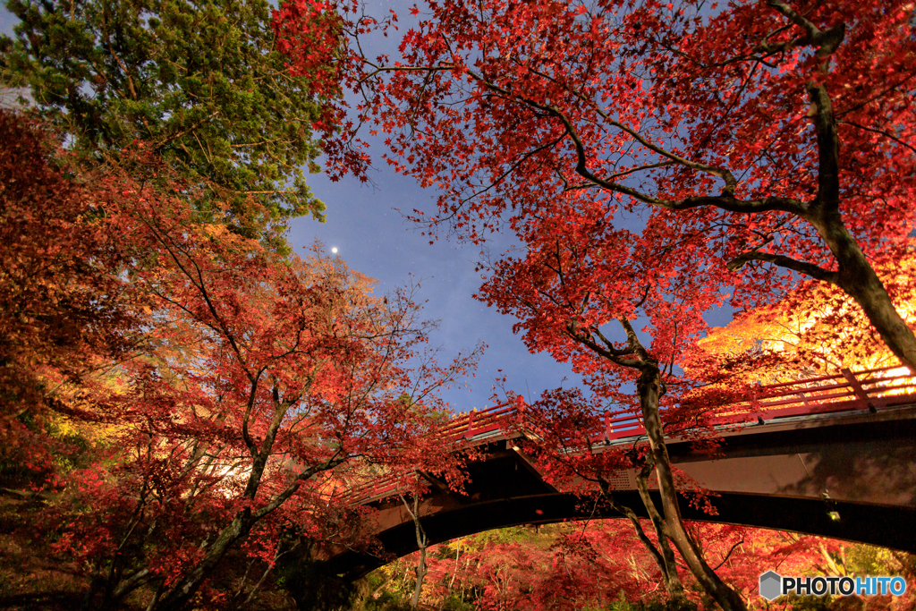 観月橋