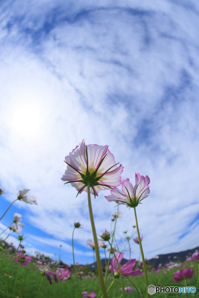 空を見上げて