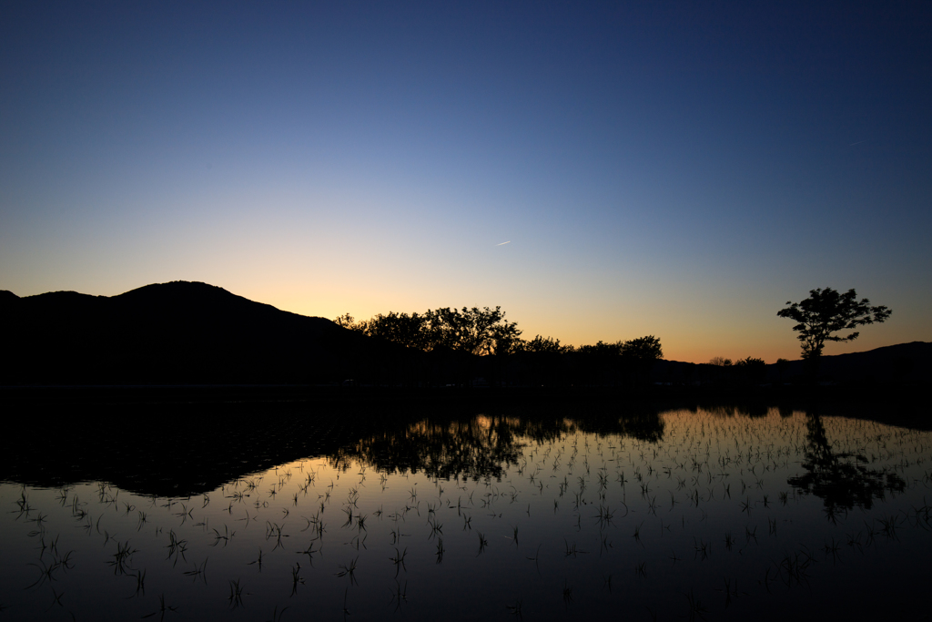 田んぼの夕暮れ