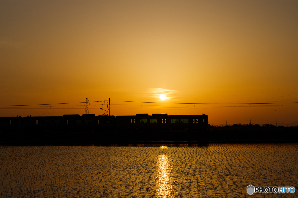 夕日に照らされて