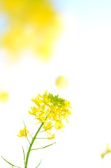 やさしい時間