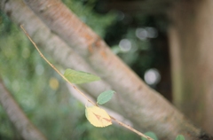 PICT0032
