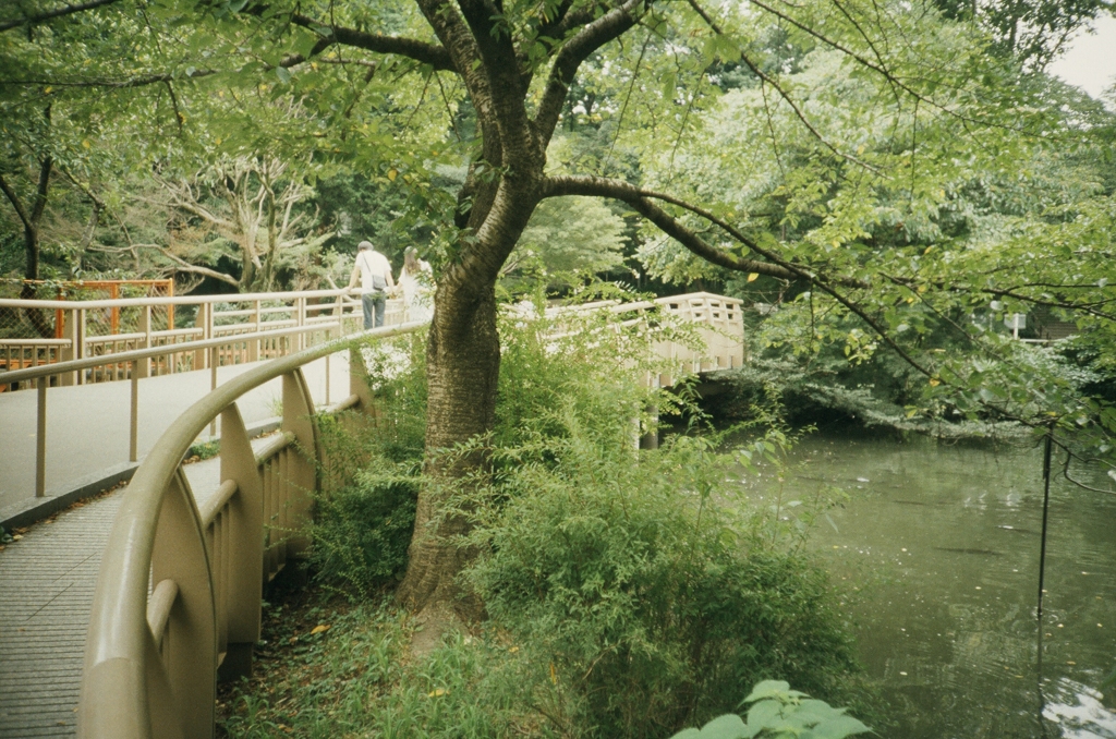 PICT0034