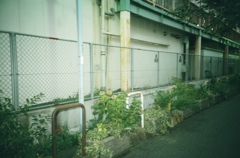 PICT0018