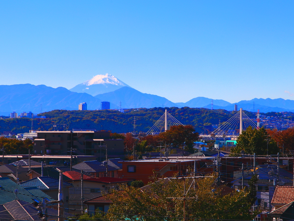 東京府中の街並みと富士山