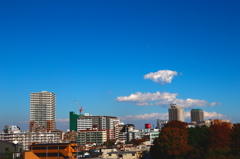 蒼空と街並みと杜