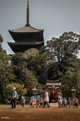 東寺で昼のお散歩