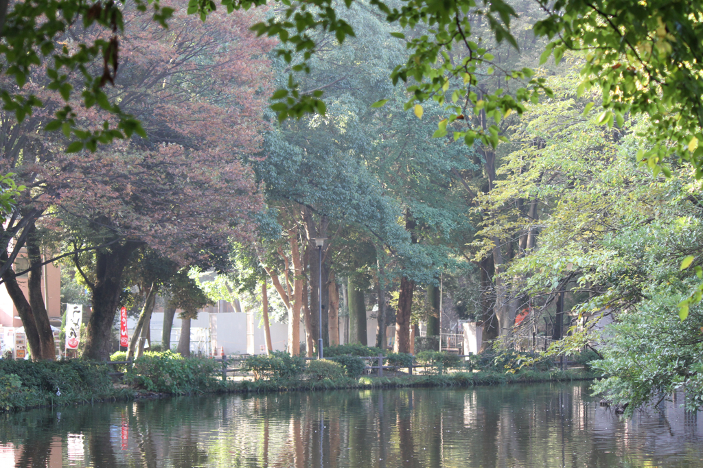 10月の和田堀公園_2