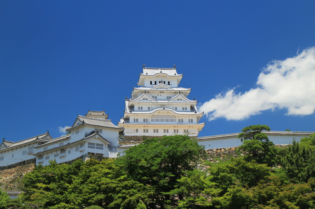 八方美人（は）