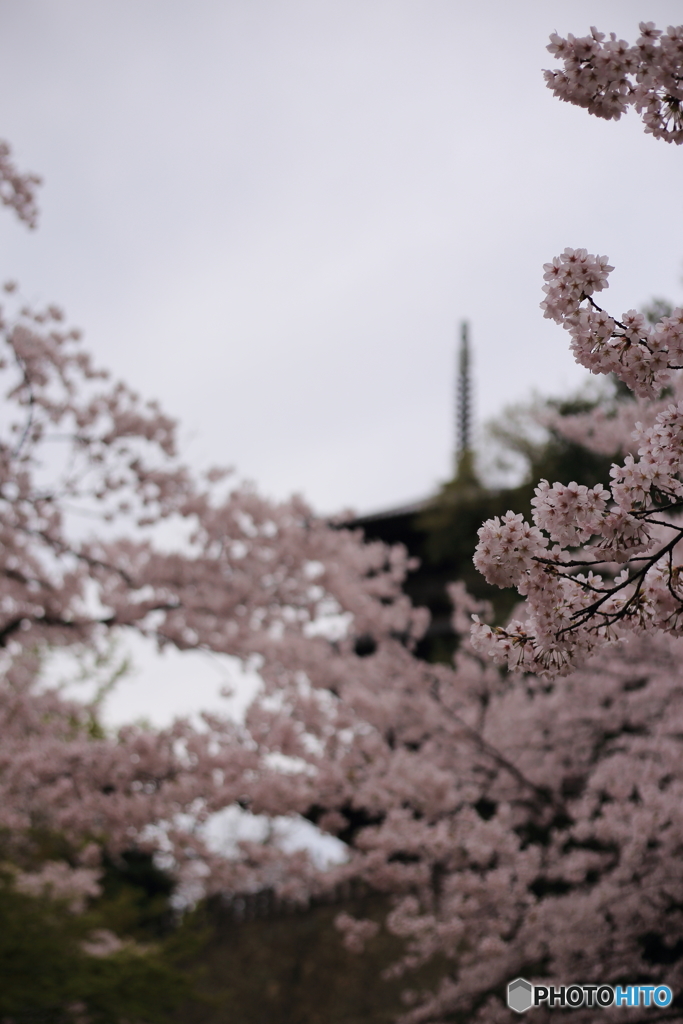 京都ではありませんよ～