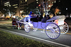 馬車の信号待ち