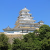 八方美人（い）