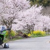 春の下で