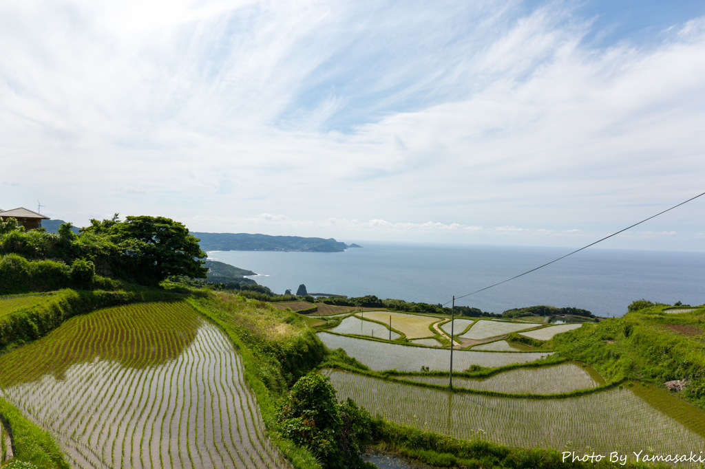 棚田のある風景