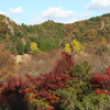 立羽田の景