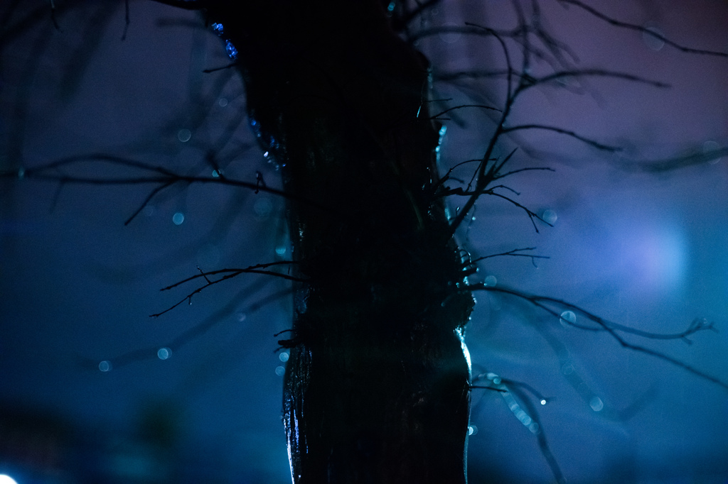 雨の日の