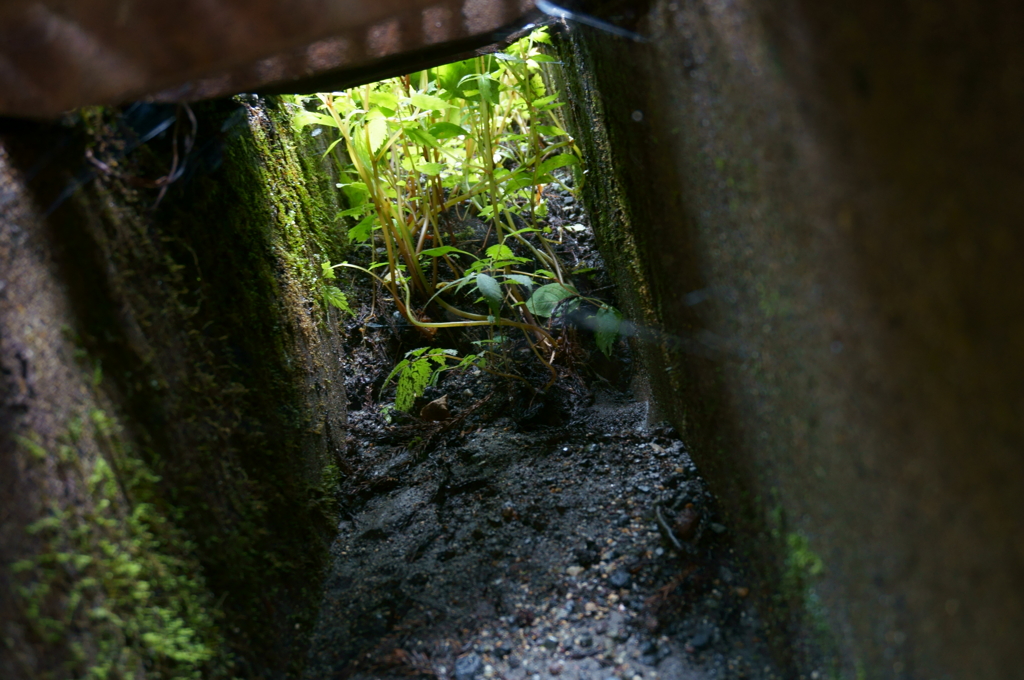 地下通路