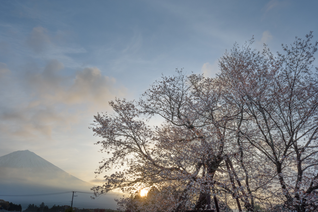 朝日を受けて