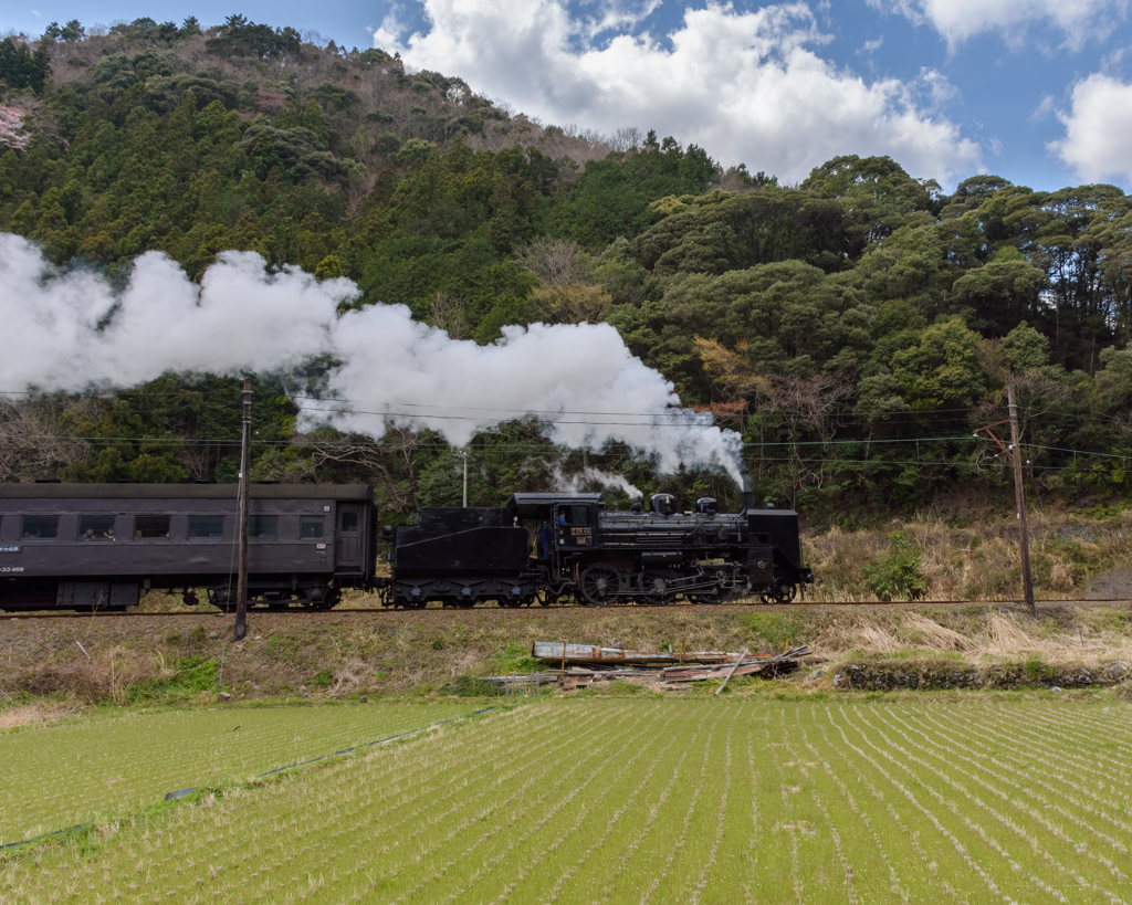 野山を行く