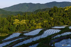 里山の田園