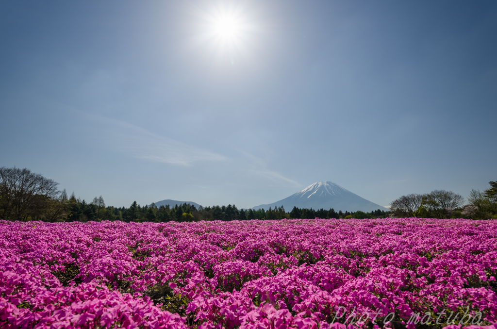 彩りの大地