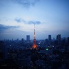 世界貿易センタービルから望む東京タワー