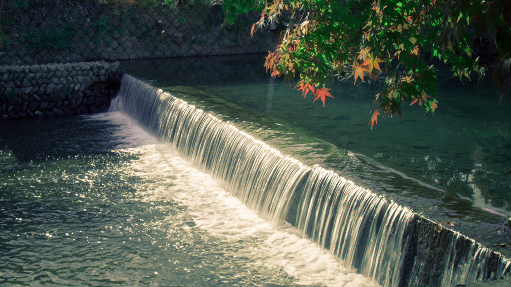 京都嵐山2014