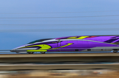 EVA500