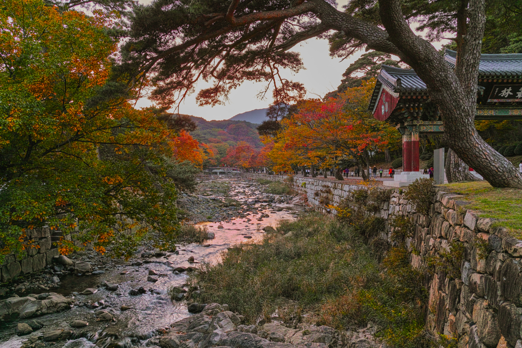 暮れ