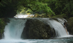 梅雨の菊池渓谷