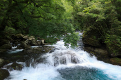 梅雨の渓谷