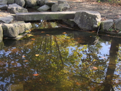 鏡池