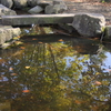 鏡池