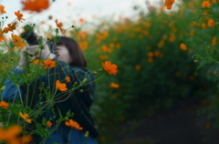 コスモス迷路にて